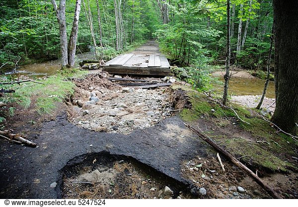 Vereinigte Staaten von Amerika USA Laubwald Tropisch Tropen subtropisch Berg Ostküste folgen geschlossen Sturm Wald weiß vorwärts Verbindung Hurrikan Vernichtung Hampshire Lincoln neu