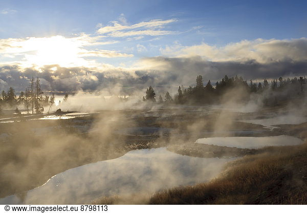 Vereinigte Staaten von Amerika  USA  Morgendämmerung  Nordamerika  UNESCO-Welterbe  Yellowstone Nationalpark  Wyoming