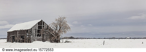 Verfallene Scheune  bedeckt mit Schnee und Eis im Winter; Sault St. Marie  Michigan  Vereinigte Staaten von Amerika