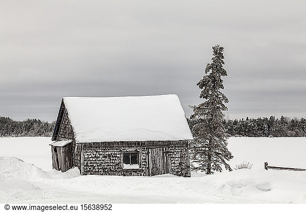 Verfallene Scheune mit Schnee und Eis bedeckt; Sault St. Marie  Michigan  Vereinigte Staaten von Amerika