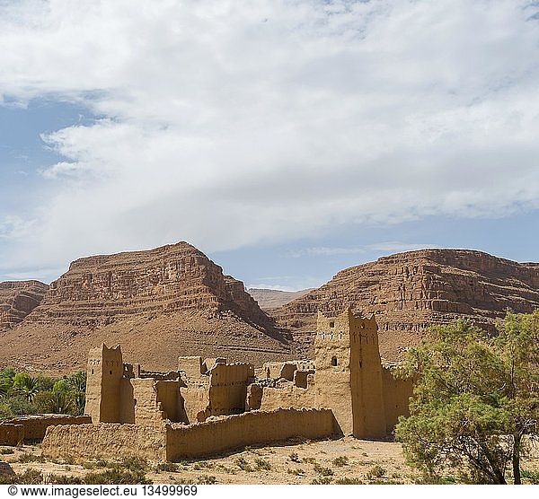 Verfallene Stadt  Ruine einer alten Kasbah vor Sandsteinfelsen  Oase am Fleuve de Ziz  Marokko  Afrika