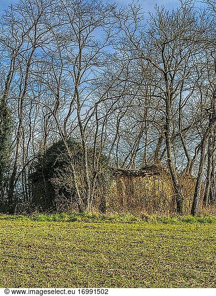 Verfallenes Gebäude in einem Hain mit kahlen Winterbäumen bei Lauzun  Departement Lot-et-Garonne  Nouvelle-Aquitaine  Frankreich.