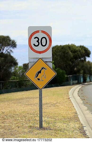 Verkehrsschild  Pinguin  Zwergpinguin  Kangaroo Island  South Australia  Australien  Ozeanien