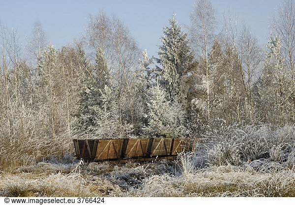 Verlassene Loren im Winterwald  ehemaliges Torfabbaugebiet von Nicklheim Deutschland