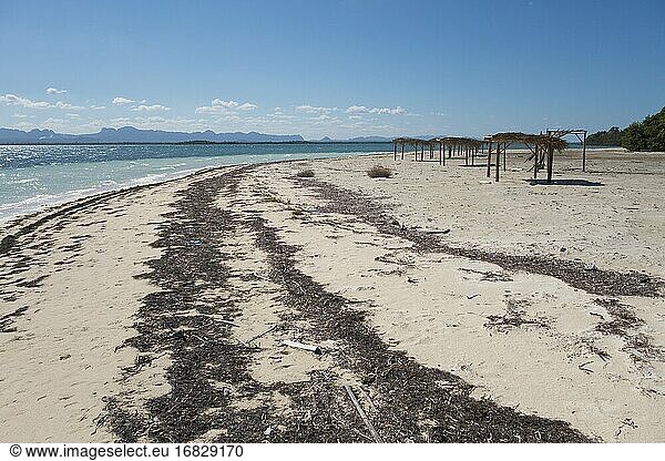 Verlassene Sonnenschirme. Erosion am Strand  Cayo Levisa  Provinz Pinar del R?o  Kuba. Das Korallenriff draußen ist tot. Erosion am Strand.