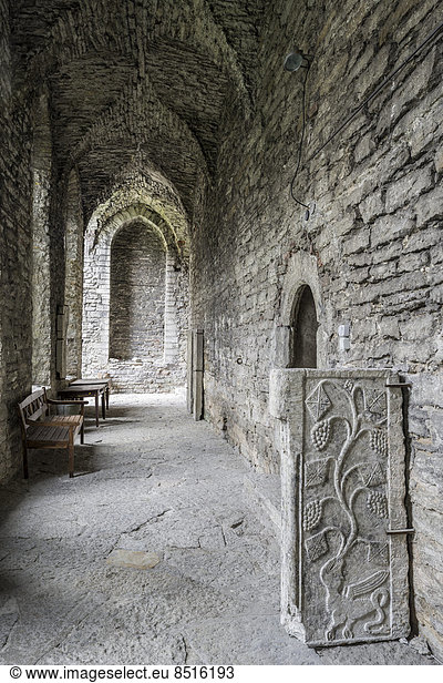 Verlies des ehemaligen Dominikanerklosters mit alten Grabsteinen  Vanalinn  Tallinn  Kreis Harju  Estland