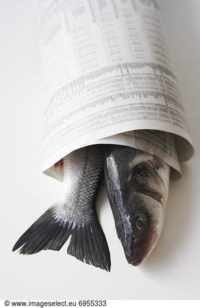 Verpackung  Zeitung  Weißfisch  umwickelt