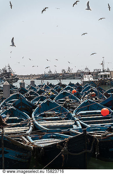 Vertäute Fischerboote im Hafen  Essaouira  Marokko