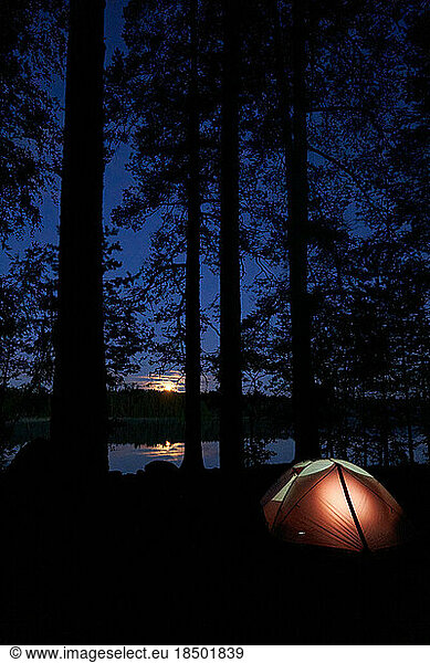 Vertical shot with a night campsite and illuminated tent.
