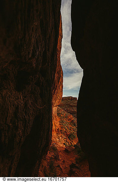 vertical slit of orange canyon walls in the utah desert