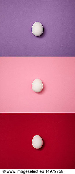 Vertikal abgelegte Eier auf violettem  rosa  rotem Hintergrund