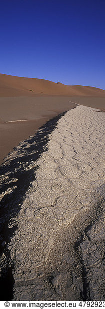 Vertrocknetes Flussbett  Vlei  im Sand am Sossus Vlei  Namibia  Afrika