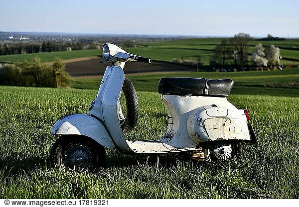 Vespa Primavera 125  125 ccm  VMA 2T  year of construction 1974  2-stroke engine  spare wheel  spare wheel holder  moped  motor scooter  scooter  Vespa  Piaggio  scooter  moped  white  patina  vintage look  retro  unrestored  used  original paint  O-paint  oldtimer  country lane  road  nature  view  hill  overview  panorama  sun  landscape  Freising  Bavaria  Germany  Europe