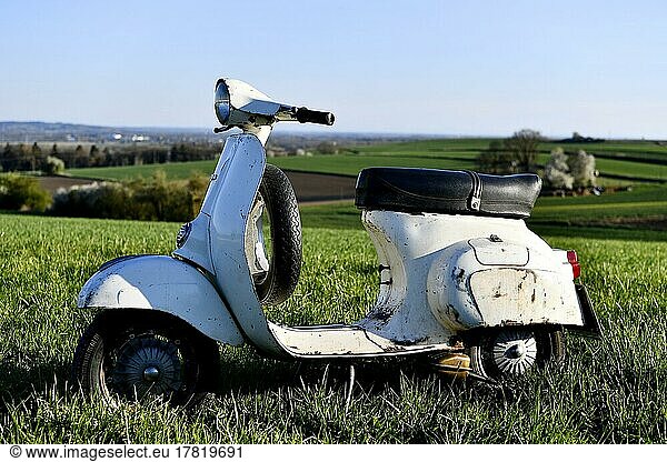 Vespa Primavera 125  125 ccm  VMA 2T  year of construction 1974  2-stroke engine  spare wheel  spare wheel holder  moped  motor scooter  scooter  Vespa  Piaggio  scooter  moped  white  patina  vintage look  retro  unrestored  used  original paint  O-paint  oldtimer  country lane  road  nature  view  hill  overview  panorama  sun  landscape  Freising  Bavaria  Germany  Europe