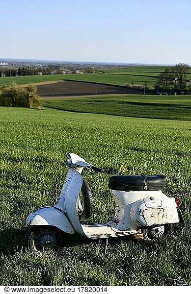 Vespa Primavera 125  125 ccm  VMA 2T  year of construction 1974  2-stroke engine  spare wheel  spare wheel holder  moped  motor scooter  scooter  Vespa  Piaggio  scooter  moped  white  patina  vintage look  retro  unrestored  used  original paint  O-paint  oldtimer  country lane  road  view  hill  overview  panorama  sun  nature  landscape  Freising  Bavaria  Germany  Europe