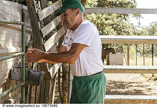 veterinarian washing his hands in an old faucet in a stable