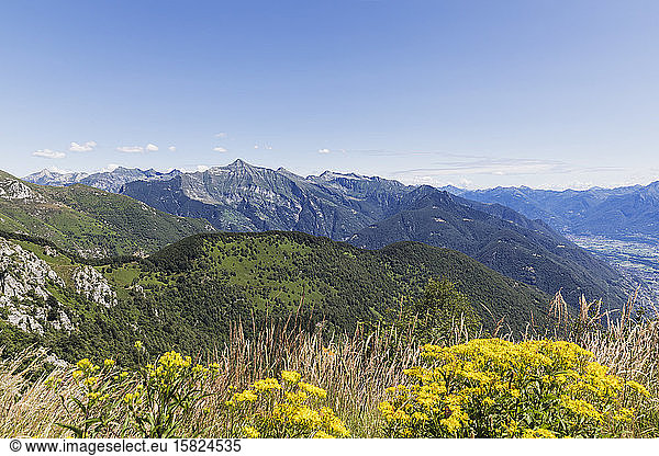 Vew from Cimetta mountain top  Locarno  Ticino  Switzerland