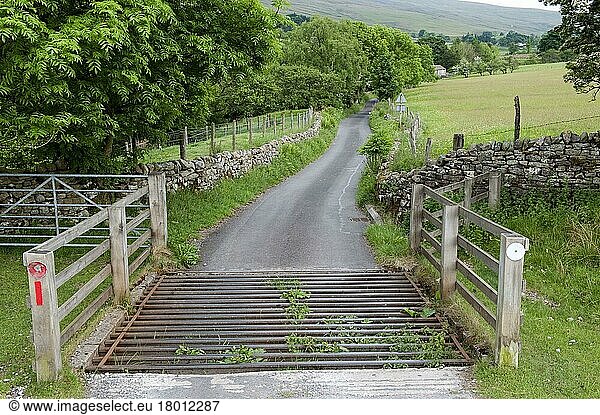 Viehgitter auf enger Landstraße  Cumbria  England  Juni