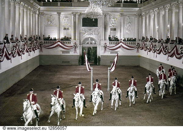 VIENNA: RIDING SCHOOL. Students on Lipizzan horses at the Spanish Riding School at Hofburg Palace  Vienna  Austria  performing lateral work. Photographed c1965.