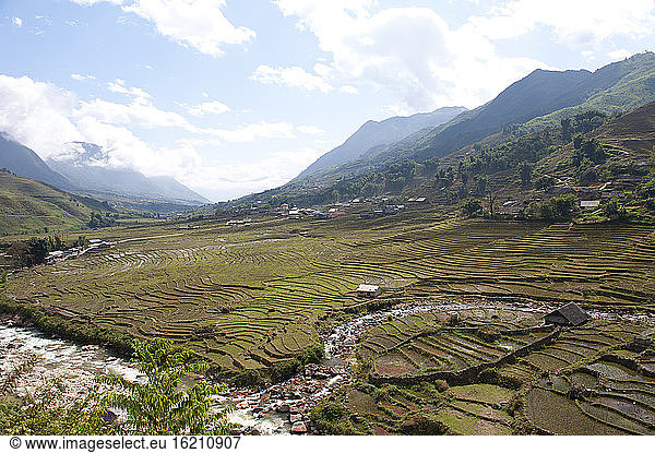 Vietnam. View of rice field