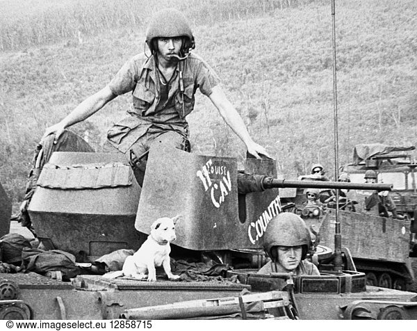 VIETNAM WAR: 11th CAVALRY. The canine mascot of a U.S. Eleventh Armored Cavalry unit rides atop a tank during the patrol of rubber plantations near Quan Loi  South Vietnam  1969.