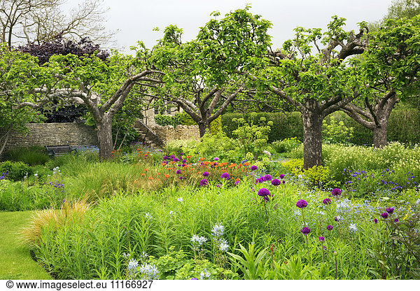 View across a garden with flower beds and trees in Oxfordshire.