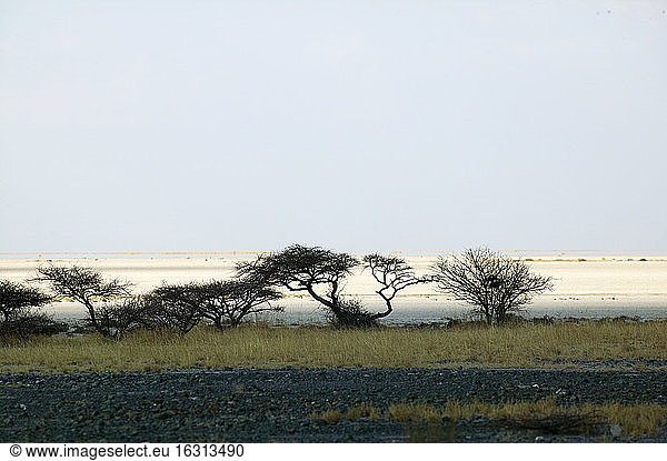 View across the Makadikadi Salt Pans in Botswana.