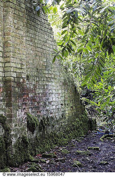View along old brick wall overgrown with moss.