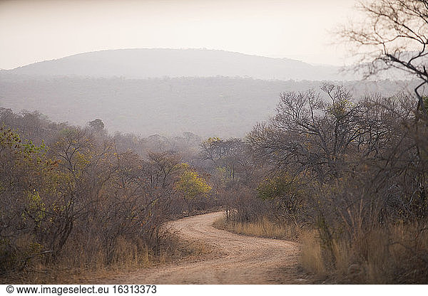 View along winding rural road  Southern Africa.