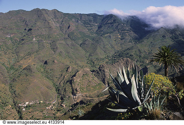 View at the valley of Benchijigua  La Gomera  Canary Islands  Spain