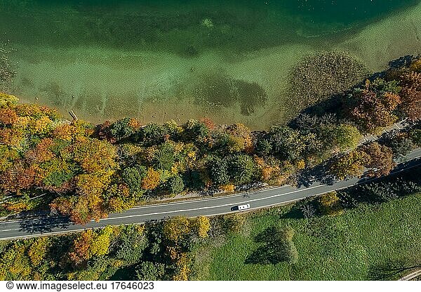 View from above of a moving car on a road next to a lakeshore in autumn  idyllic travel moment  Germany  Europe