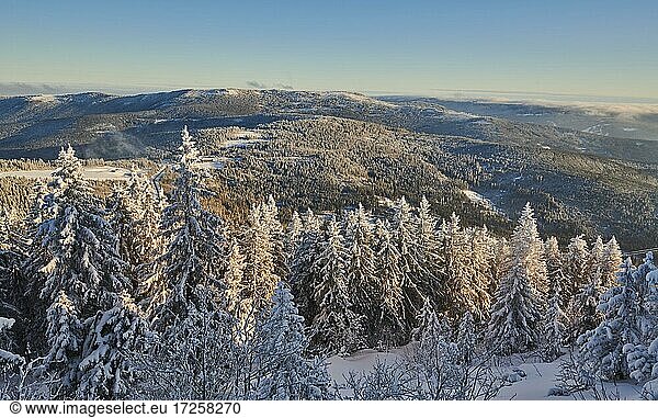View from Arber on hilly landscape with spruce forest (Picea abies) in winter  Bavarian Forest  Bavaria  Germany  Europe