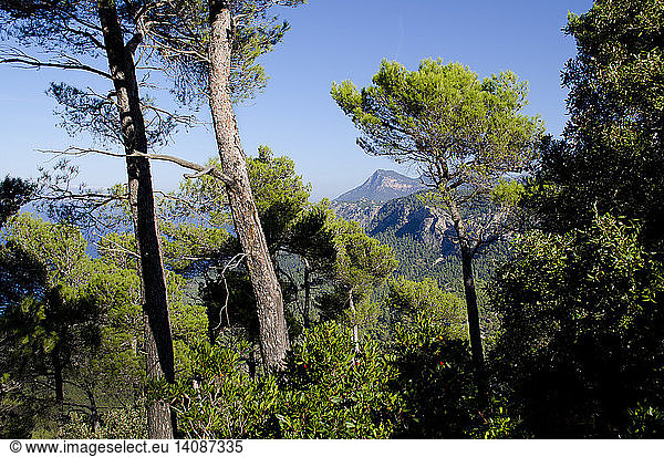 View from hiking path  Majorca  Spain
