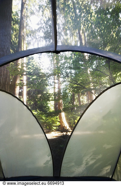 View from Inside Tent