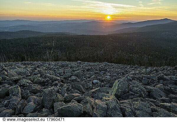 View from Lusen  sunset  Bavarian Forest National Park  Bavaria  Germany  Europe