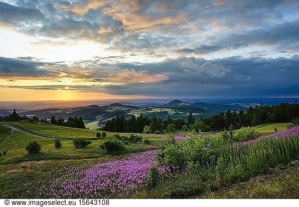 View from the Wasserkuppe to the hilly landscape at sunset  Hessian Rhön Nature Park  Hesse  Germany  Europe