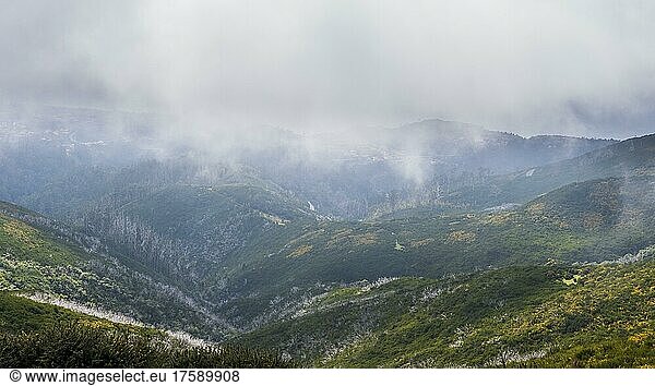 View into green gorge from plateau of Paul da Serra  Madeira  Portugal  Europe