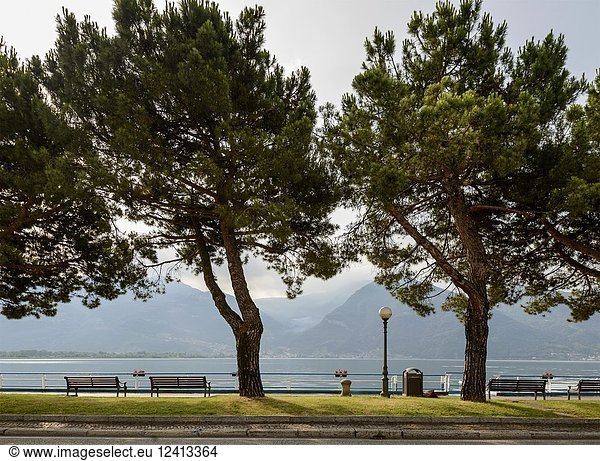 View of benches and trees on footpath at lakeside  shot in bright summer light on Sebino lake at Lovere  Bergamo  Lombardy  Italy.