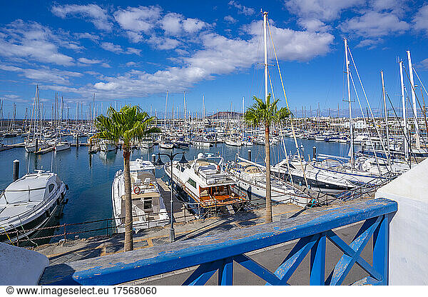 View of boats in Rubicon Marina  Playa Blanca  Lanzarote  Canary Islands  Spain  Atlantic  Europe