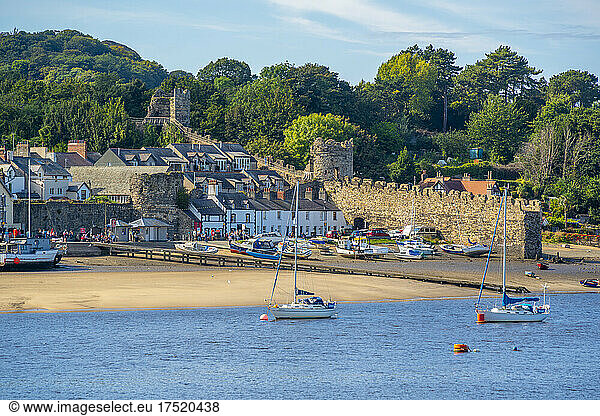 View of boats of the Conwy River and town wall  Conwy  Gwynedd  North Wales  United Kingdom  Europe