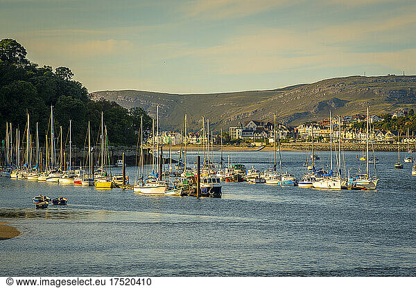 View of boats of the Conwy River in late afternoon, Conwy, Gwynedd, North Wales, United Kingdom, Europe
