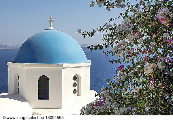 View of church against sea with flowering plants in foreground