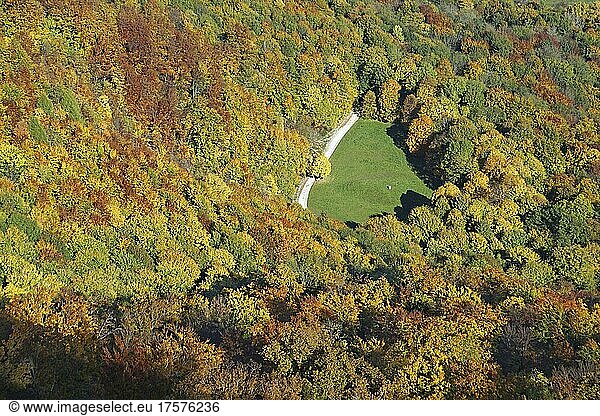 View of clearing and autumnal forest  Dettingen-Erms  Erms Valley  Swabian Alb Biosphere Reserve  Baden-Württemberg  Germany  Europe