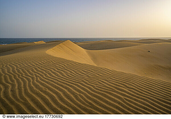 View of drifting sands and dunes at Maspalomas  Gran Canaria  Canary Islands  Spain  Atlantic  Europe