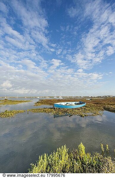 View of estuary saltmarsh habitat and boats with rising tide  Brancaster Staithe  Norfolk  England  United Kingdom  Europe