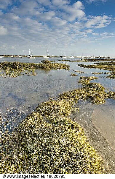View of estuary saltmarsh habitat and boats with rising tide  Brancaster Staithe  Norfolk  England  United Kingdom  Europe
