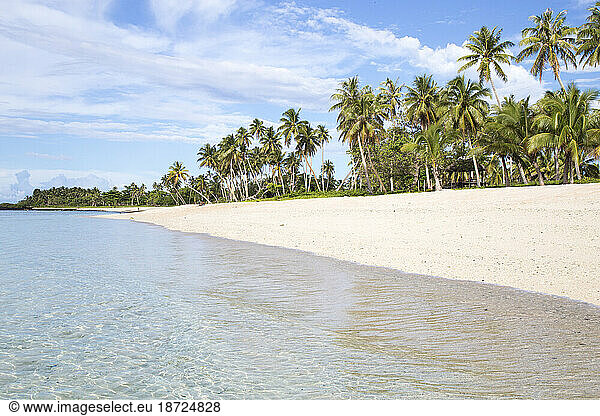 view of Falealupo beach  with palm trees under blue sky  Samoa