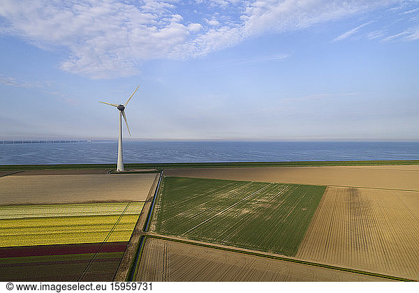 View of fields and wind turbines early in the morning  Flevoland  The Netherlands.