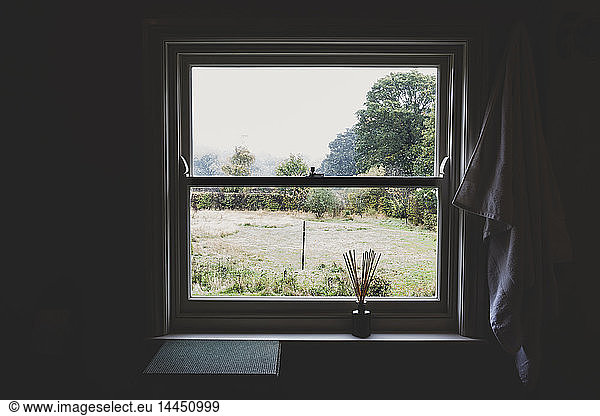 View of garden and trees through sash window.
