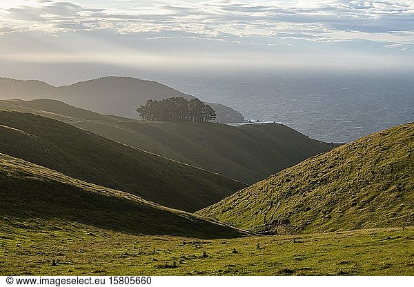View of hilly landscape near French Pass  Marlborough region  Marlborough Sounds  Picton  South Island  New Zealand  Oceania